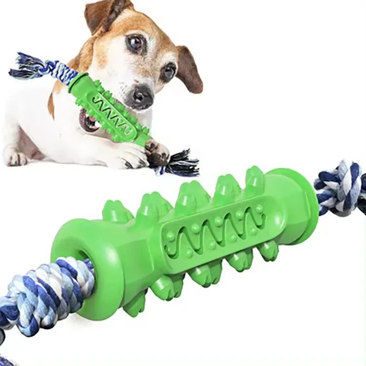 Dog chew toy-1