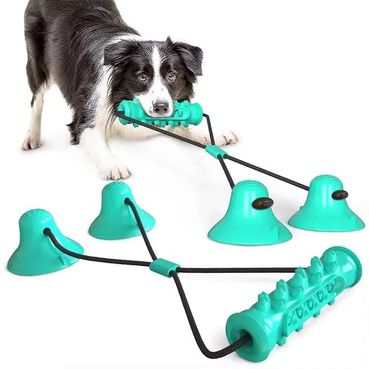 Dog chew toy-3
