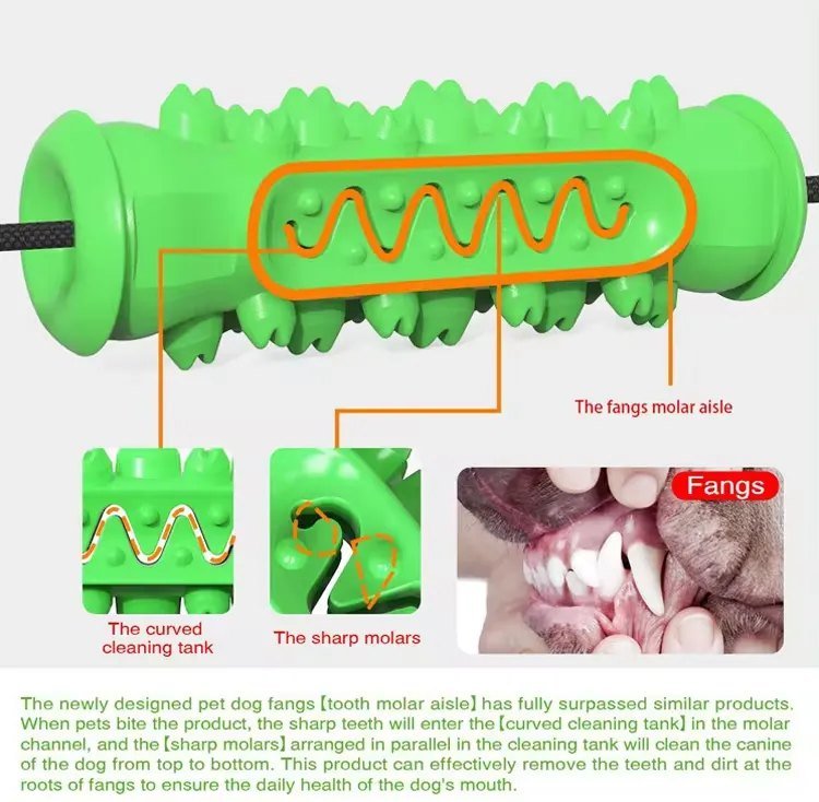 Dog chew toy 5 1