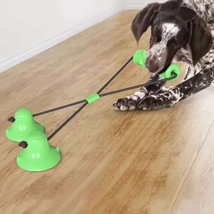 Dog chew toy-5