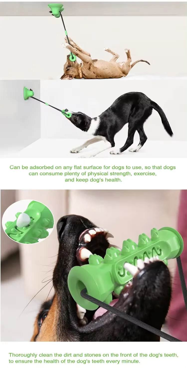 Dog chew toy 6 1