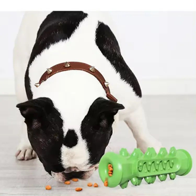 Dog chew toy-6