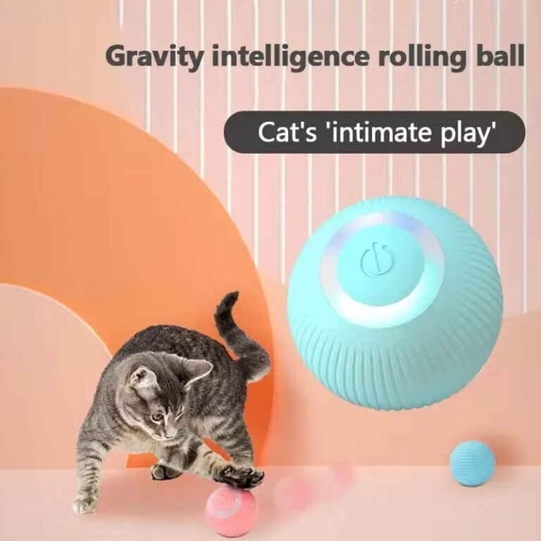 Interactive Cat Toy-3