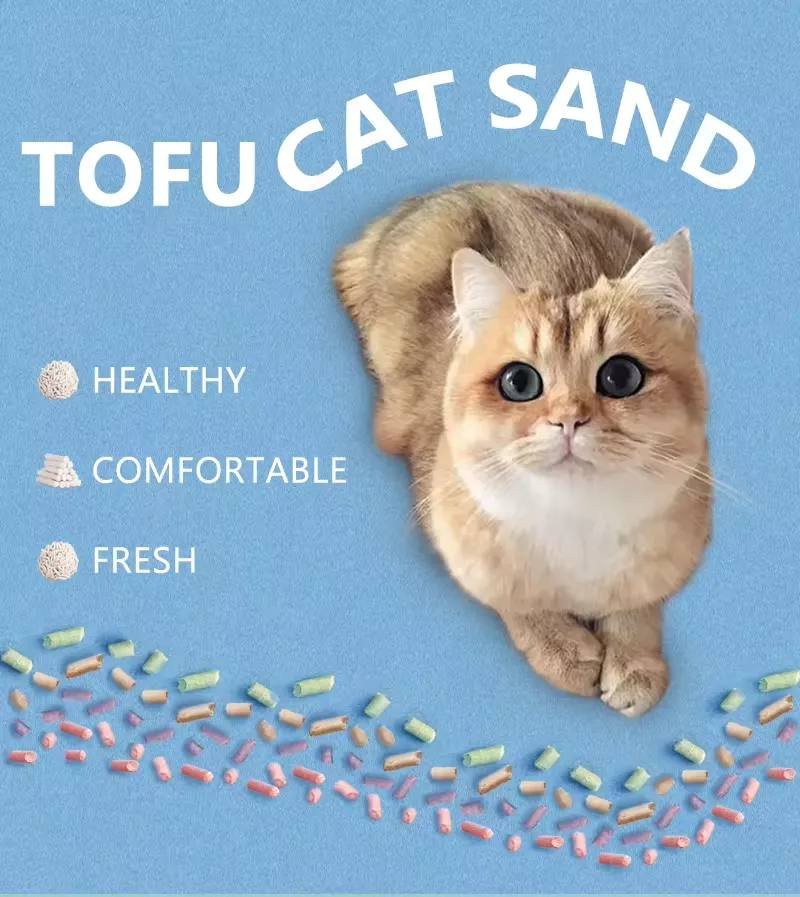 cat litter 1 1
