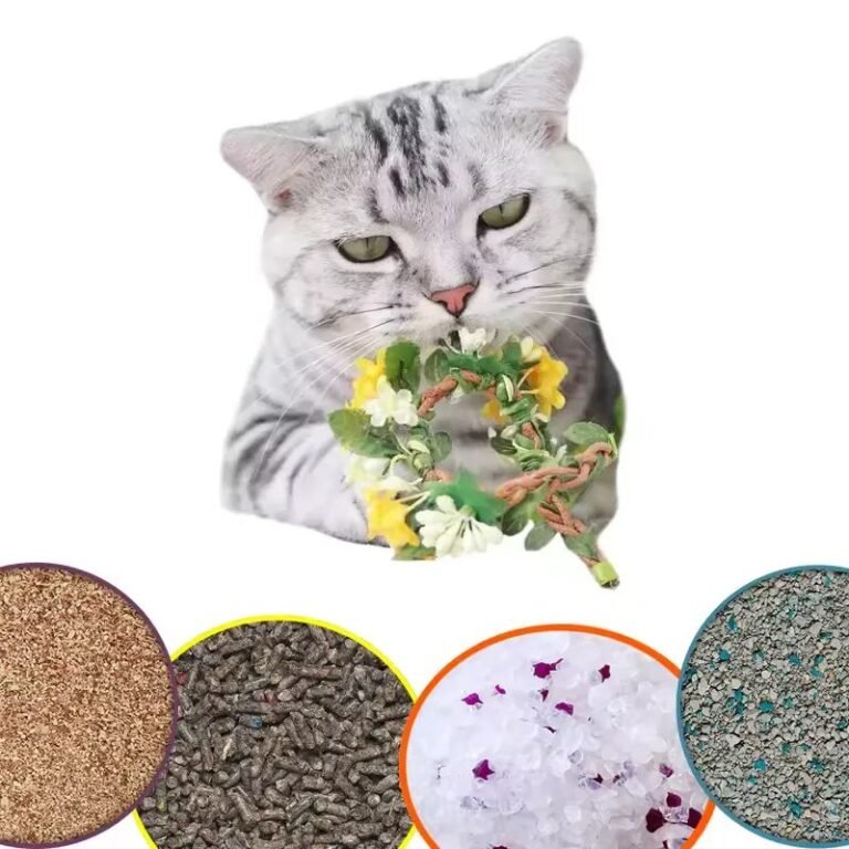 cat litter-1