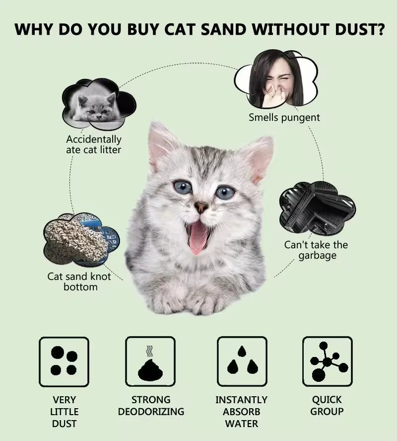 cat litter 2 1