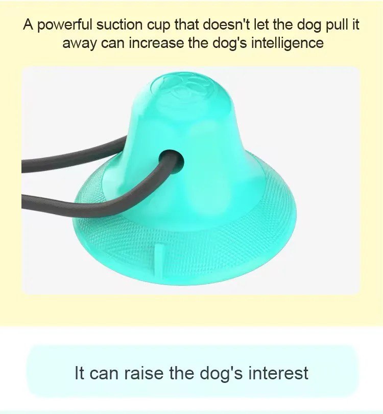 pet toy 5 1