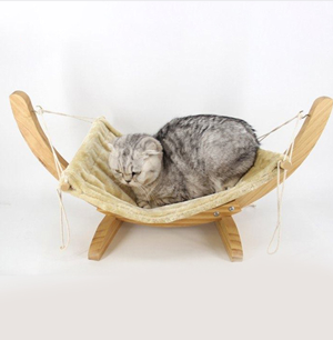 cat-01