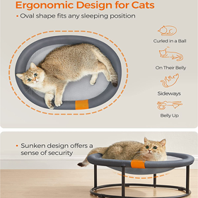 cat-bed-2