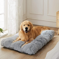 dog-bed-01