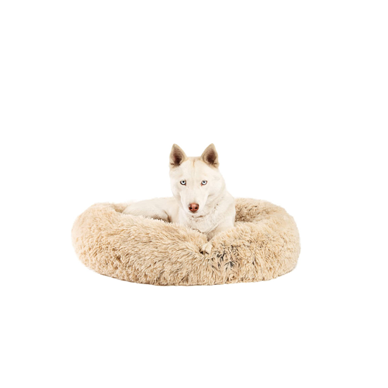 dog-bed-1