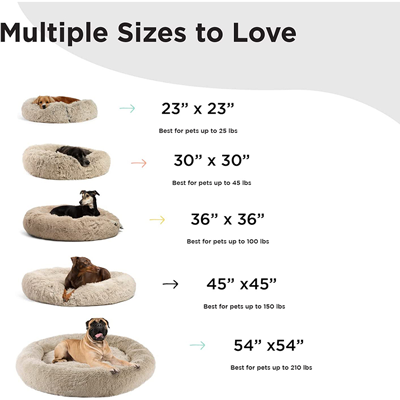 dog-bed-5