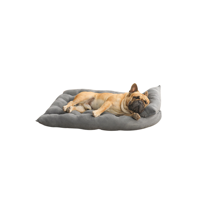 dog bed 5