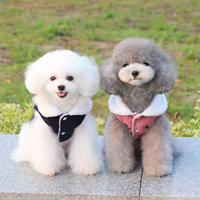 dog-cluthe2