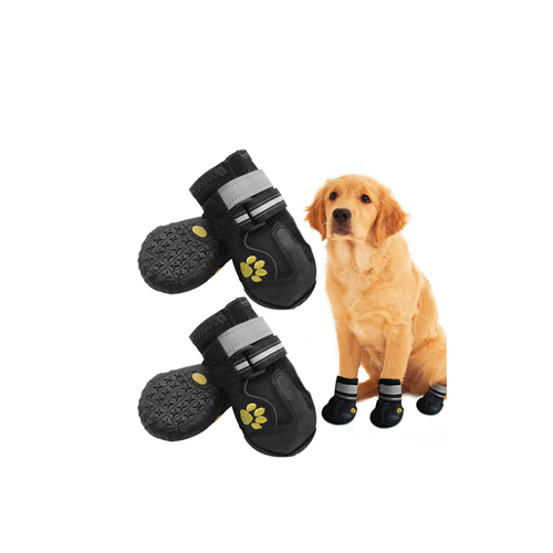 dog shoes 2