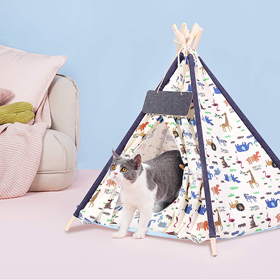 teepee1