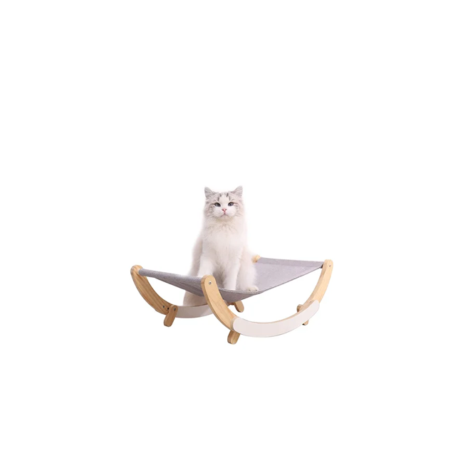 cat 1