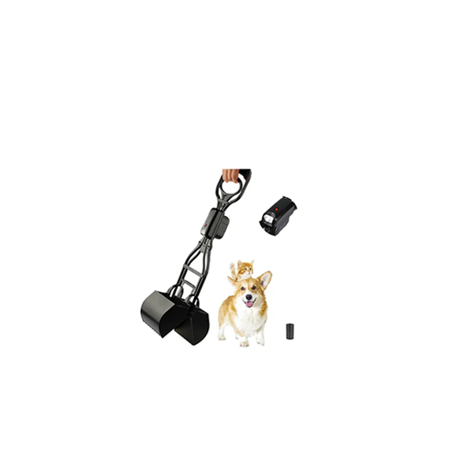 dog 3