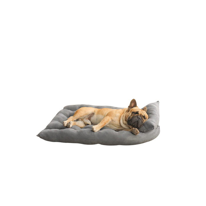dog-bed