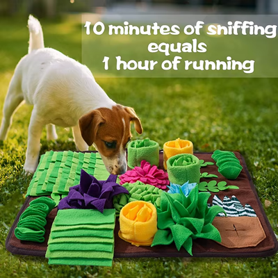Snuffle-Mat5