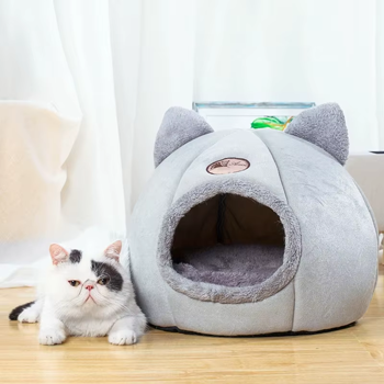 cats-bed