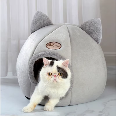 cats-bed1