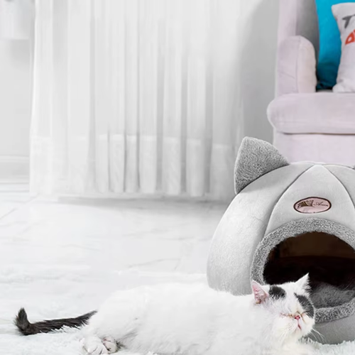 cats-bed2