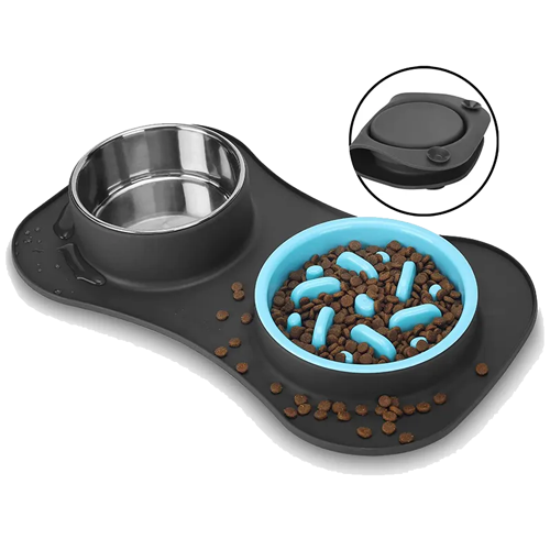 Dog Bowls 1