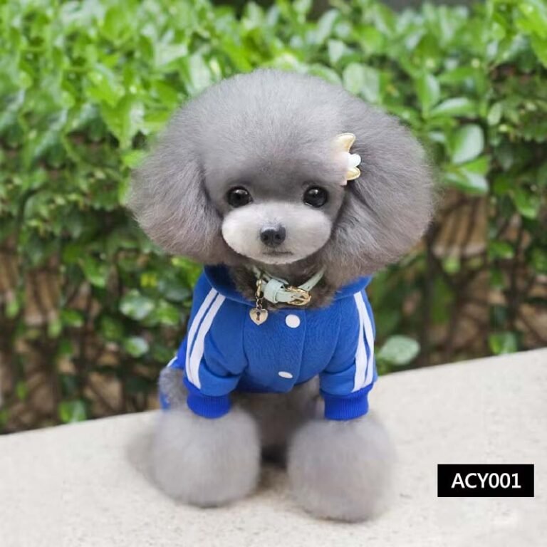 dog clothes