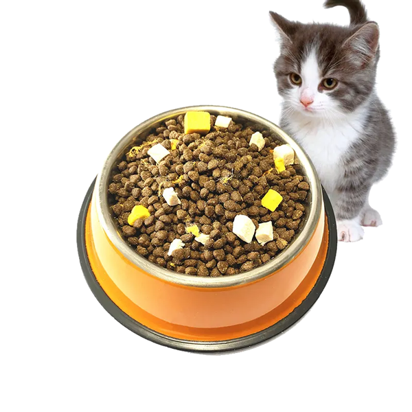 pet food 2