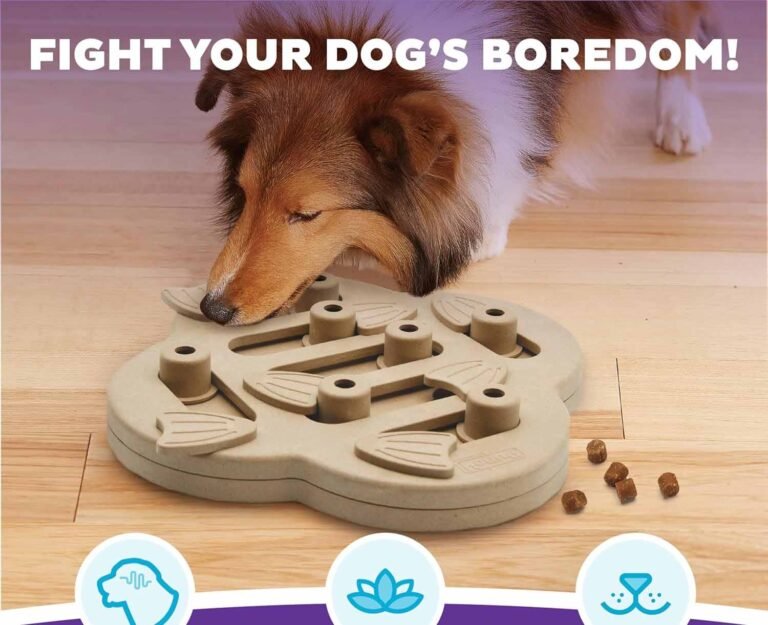 educational toy 1