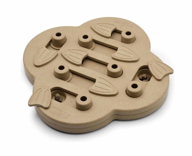 educational toy