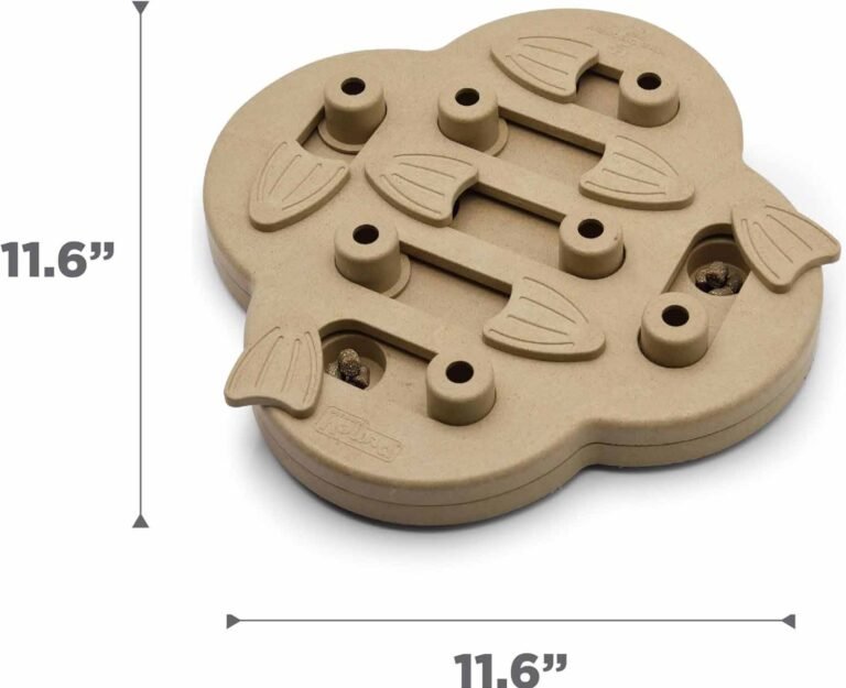 educational toy5
