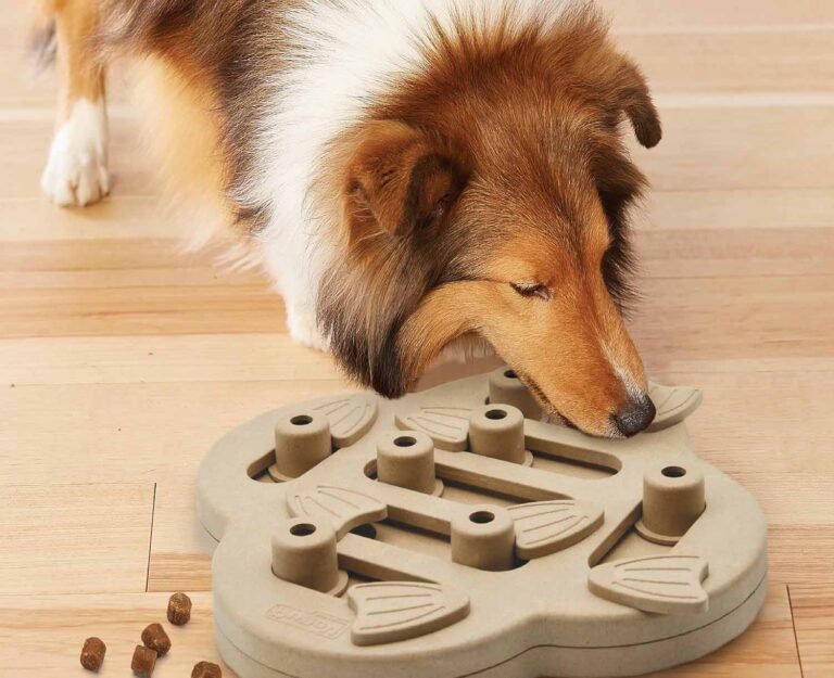 educational toy6