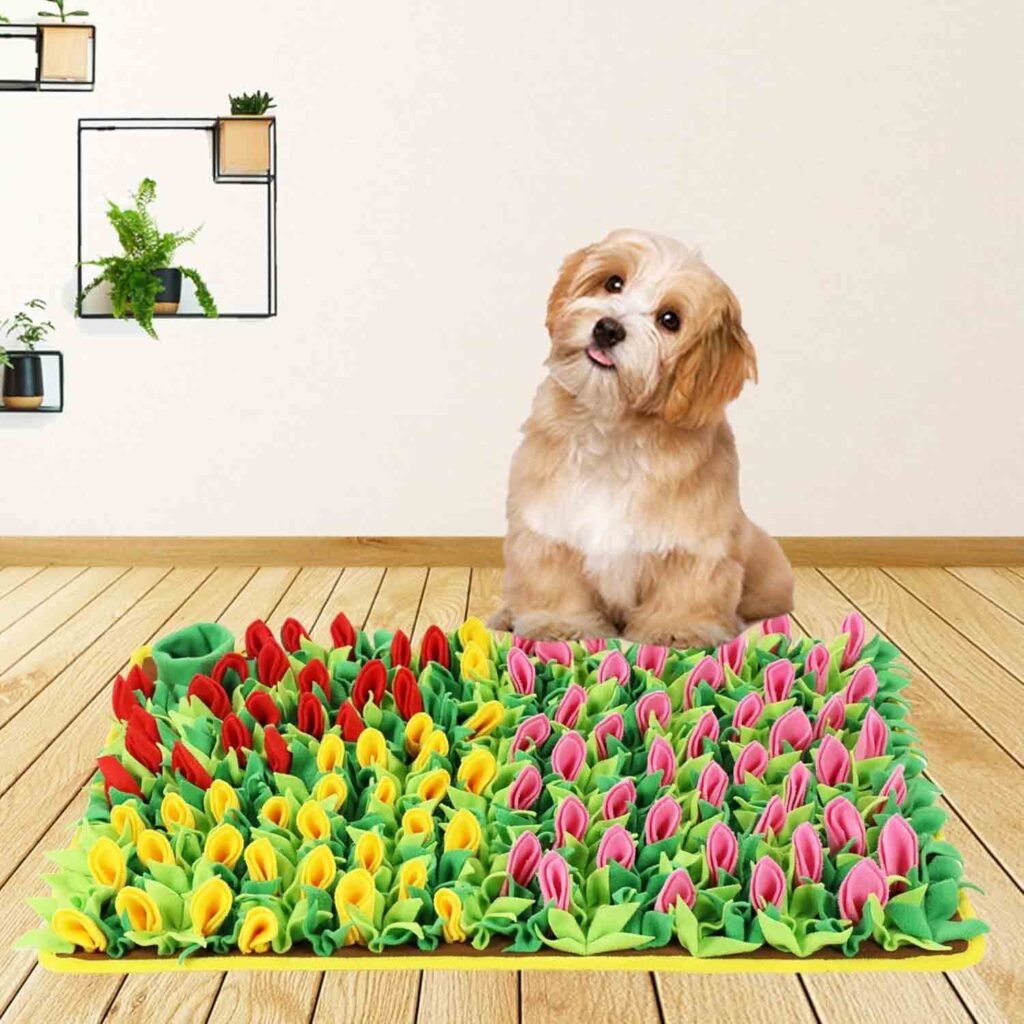 Snuffle Mat 1