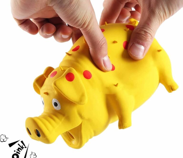 chew toy2