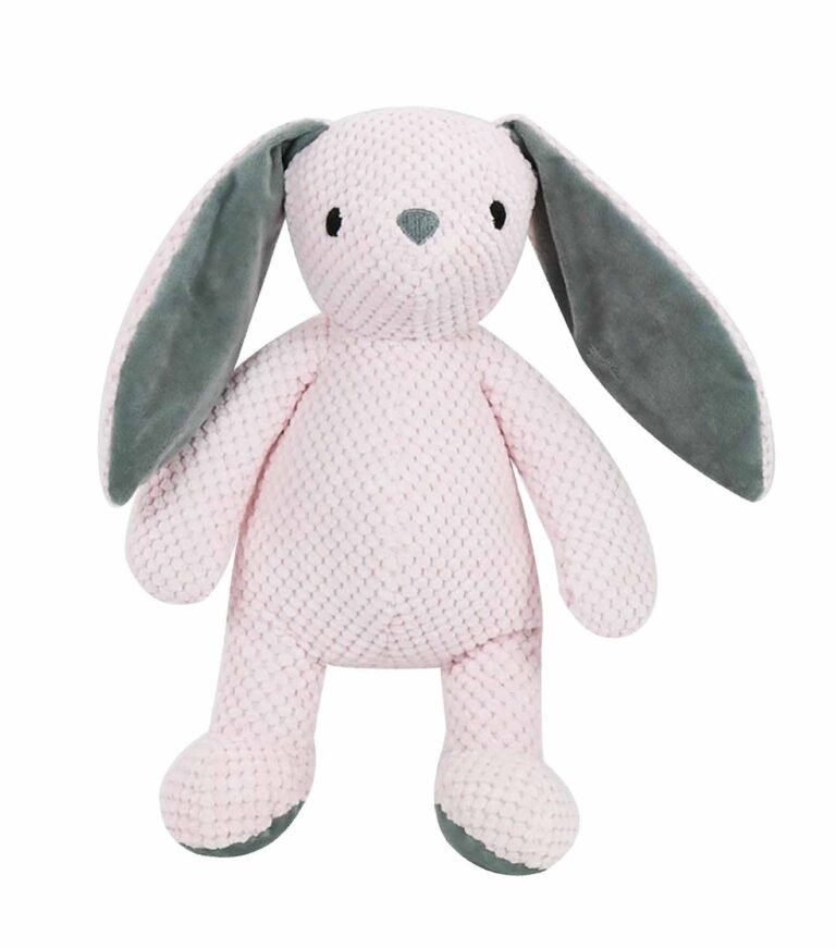 squeak toys1