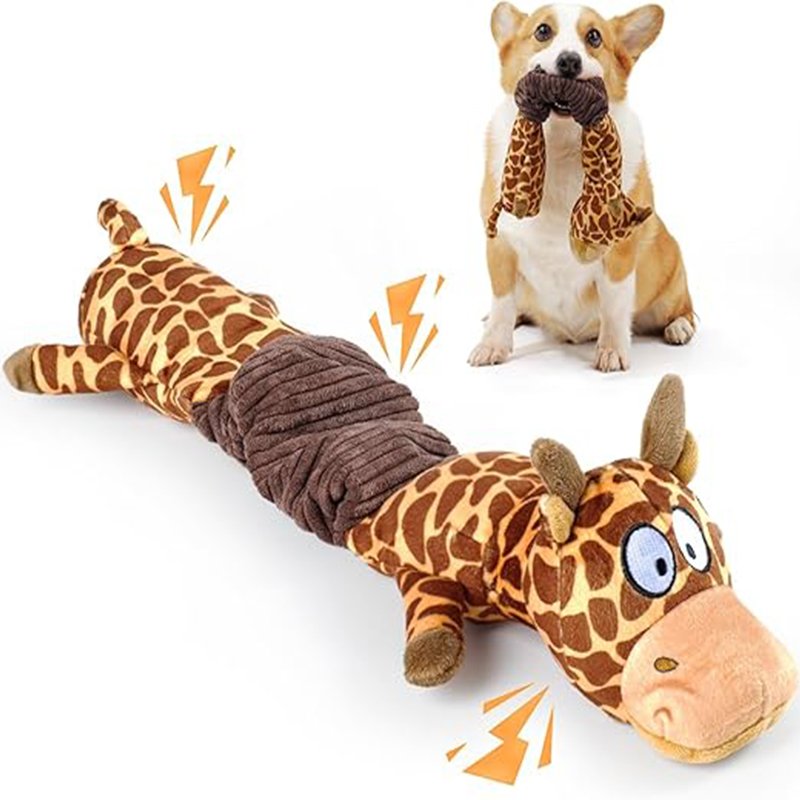 Squeaky Toy