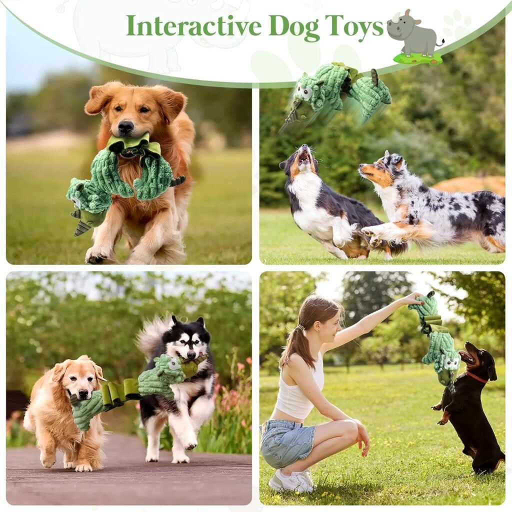 Squeaky Dog Toys