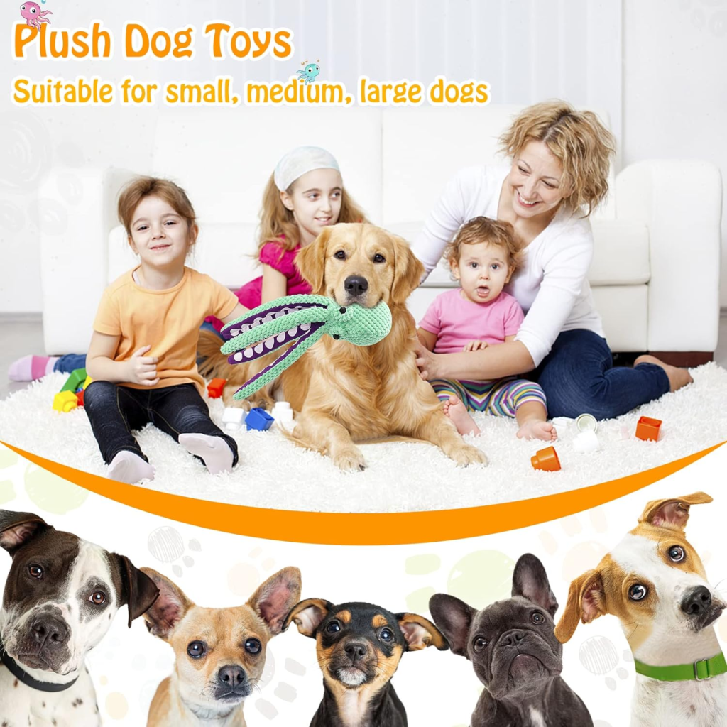 Squeaky Dog Toys