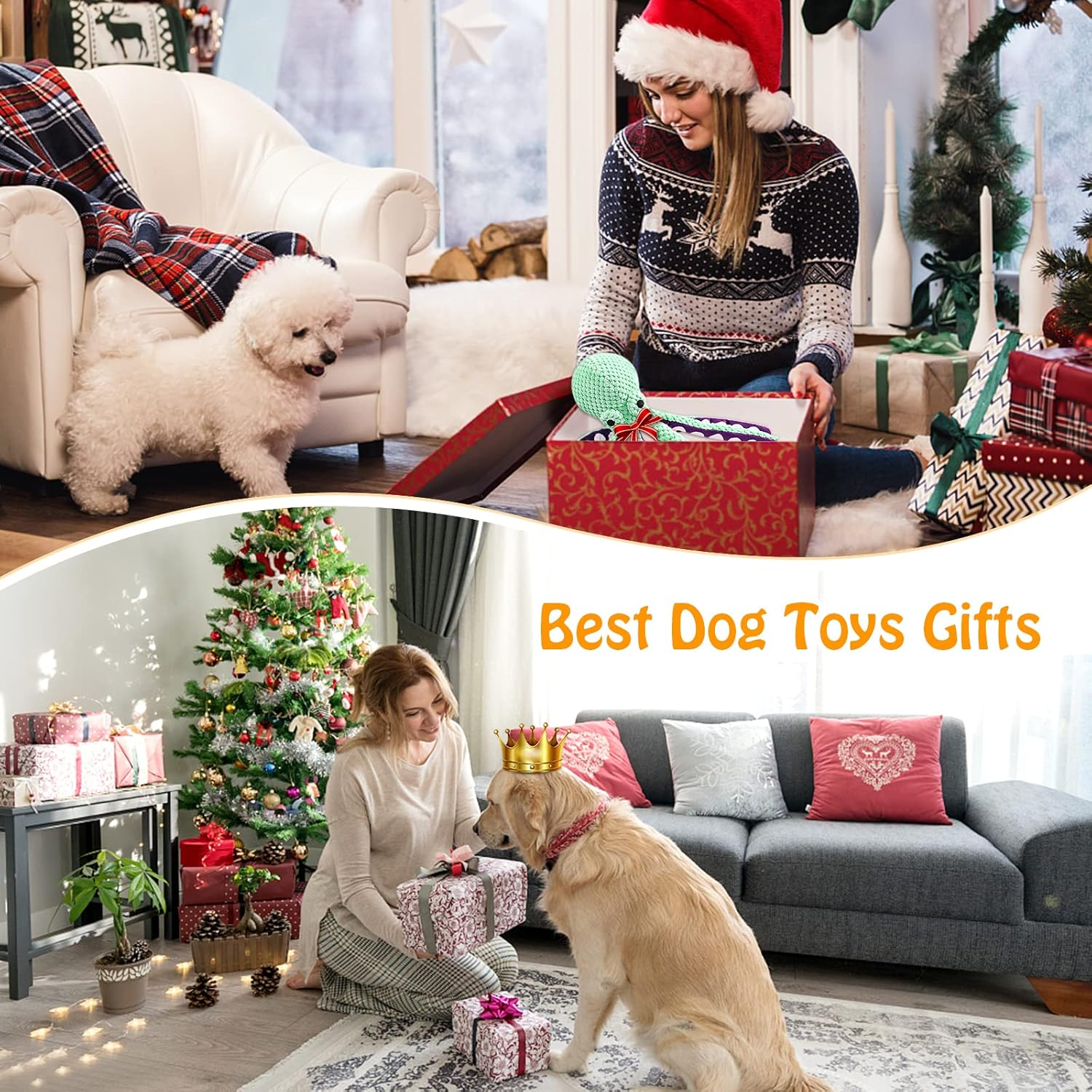 Squeaky Dog Toys