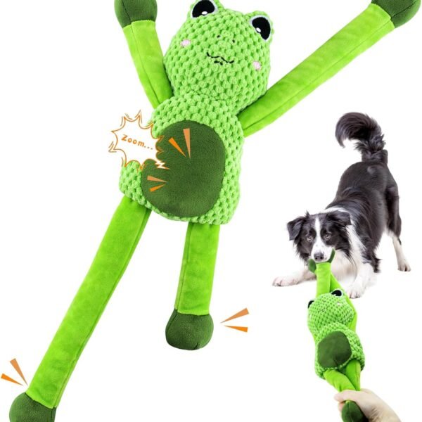 Squeaky Frog Dog Toy