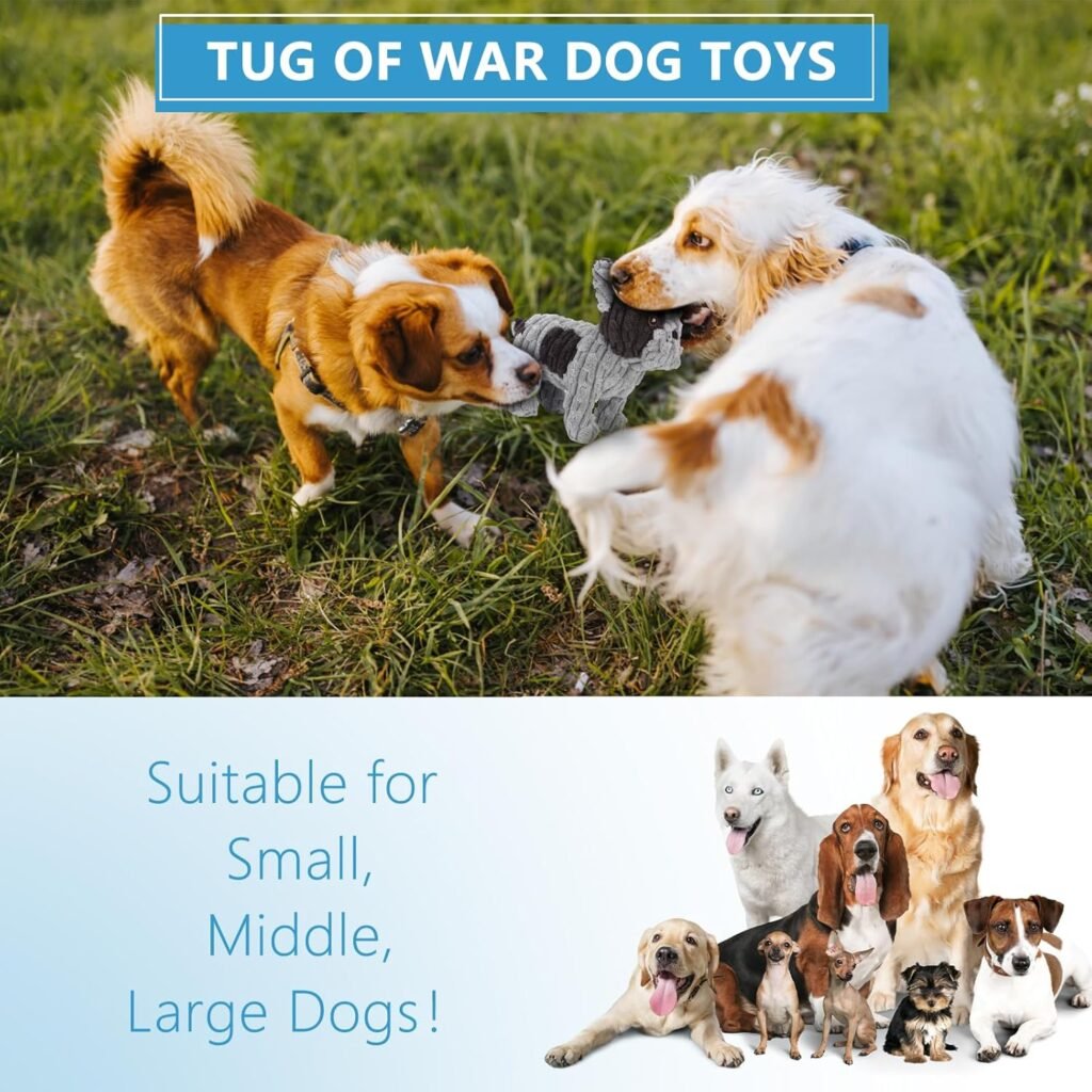 Dog Toys