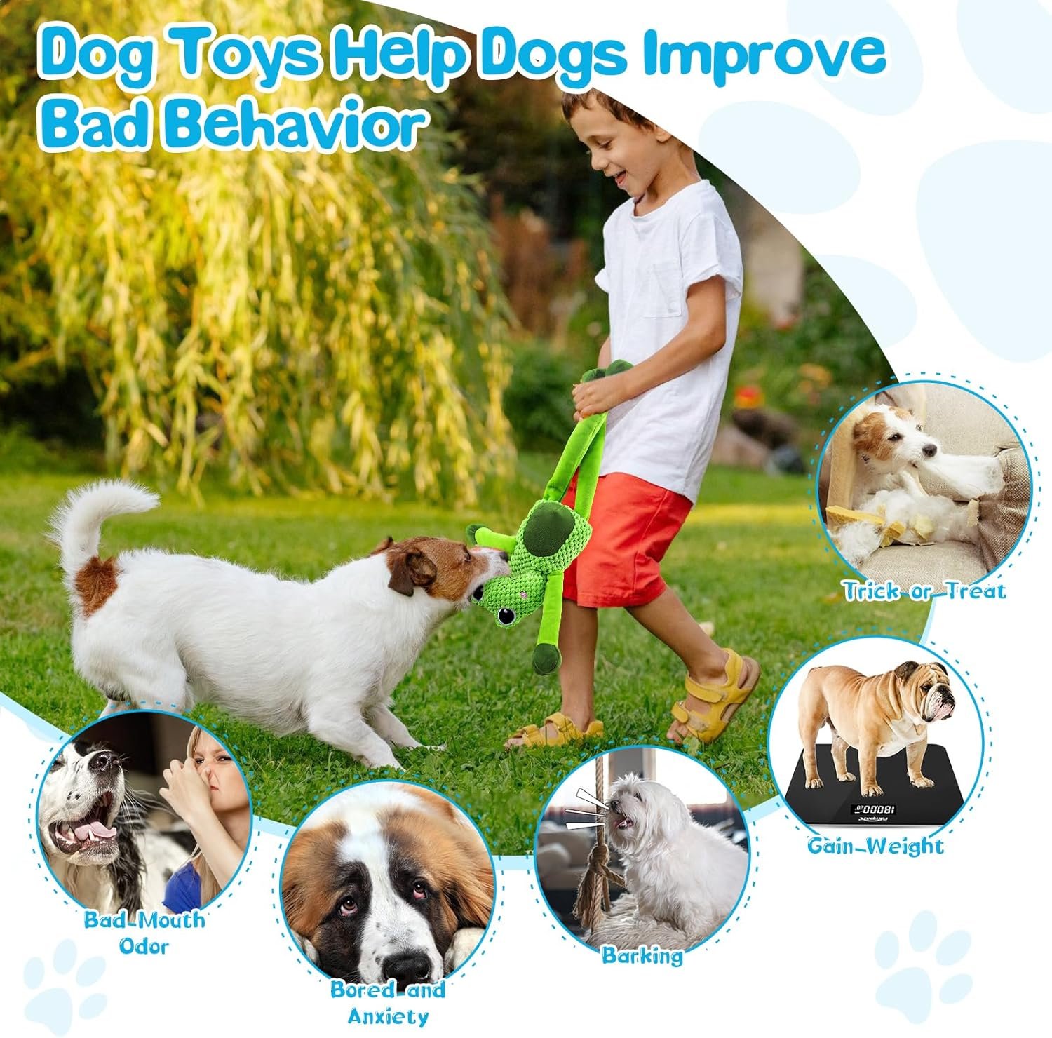 Squeaky Dog Toys