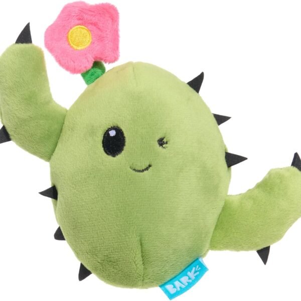 Dog Toys