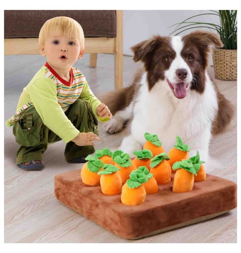 Carrot Snuffle Mat5